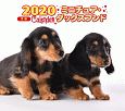 ミニ判カレンダー　ミニチュア・ダックスフンド　2020