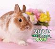 ミニ判カレンダー　ウサギ　2020
