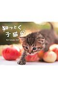 知っとく子猫　Ｗ＆Ｄカレンダー　２０２０