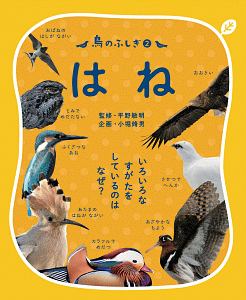 鳥のふしぎ　はね