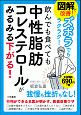 図解で改善！ズボラでもラクラク！飲んでも食べても中性脂肪コレステロールがみるみる下がる！