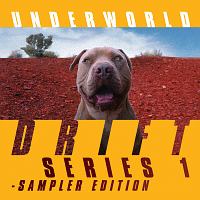 ＤＲＩＦＴ　ＳＥＲＩＥＳ　１　－　ＳＡＭＰＬＥＲ　ＥＤＩＴＩＯＮ（ＴシャツＳ）