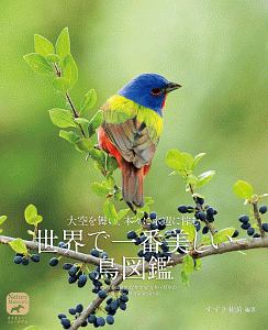 すずき莉萌『世界で一番美しい鳥図鑑』