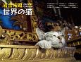 岩合光昭　世界の猫カレンダー　2020
