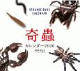 奇蟲カレンダー　2020