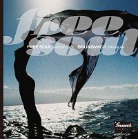 フリー・ソウル・ウィンディ・シティ~ブランズウィック・トレジャー