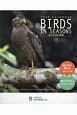 BIRDS　IN　SEASONS卓上カレンダー　2020