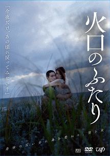 LPレコード／下田逸郎・飛べない鳥、飛ばない鳥 下田逸郎 /飛べない鳥、飛ばない鳥 (Love Songs and