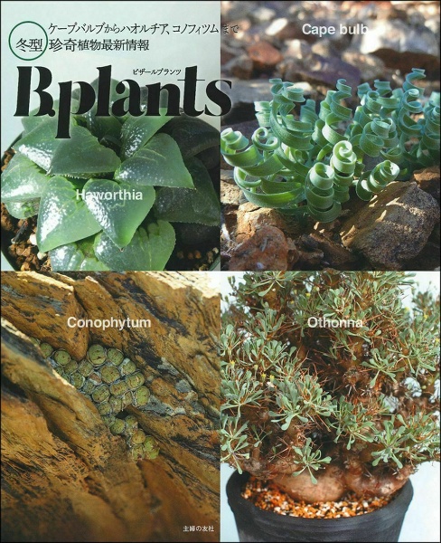 Ｂ．ｐｌａｎｔｓ－ビザールプランツ－　ケープバルブからハオルチア、コノフィツムまで冬型珍奇植物最新情報