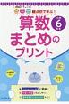 観点別で学ぶ！算数まとめのプリント　小学6年生