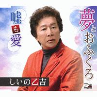 夢とおふくろ/嘘も愛