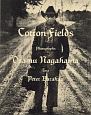 Cotton　Fields