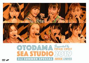 OTODAMA　SEA　STUDIO　2019　supported　by　POCARI　SWEAT　J＝J　Summer　Special