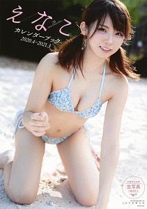 えなこカレンダーブック 2020.4~2021.3 週刊プレイボーイ特別編集/え