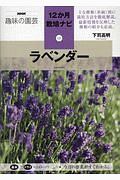 ラベンダー　ＮＨＫ趣味の園芸　１２か月栽培ナビ１２