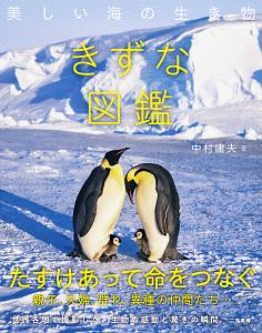 きずな図鑑 美しい海の生き物