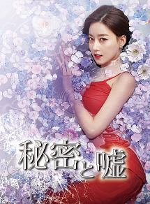 秘密と嘘 DVD-BOX (1)