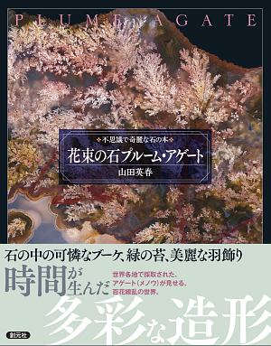 花束の石 プルーム・アゲート 不思議で奇麗な石の本