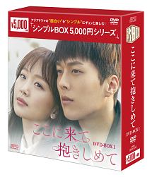 ここに来て抱きしめて　DVD－BOX1＜シンプルBOX　5，000円シリーズ＞