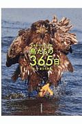 鳥たちの３６５日　北海道サロベツ原野