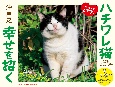 幸せを招くハチワレ猫カレンダー　2021