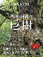 九州・沖縄の巨樹　遥かなるいのちの旅　榊晃弘写真集