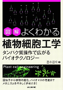 高校生 よく出る一般常識問題集 21 成美堂出版編集部の本 情報誌 Tsutaya ツタヤ