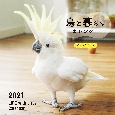 大判カレンダー鳥と暮らすカレンダーインコ＆オウム　2021