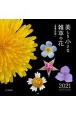 美しき小さな雑草の花のカレンダー　2021