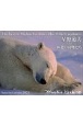 星野道夫ベストセレクション　極北の動物たち　2021