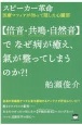 スピーカー革命【倍音・共鳴・自然音】でなぜ病が癒え、氣が整ってしまうのか？！　医療マフィアが知って隠した心臓部