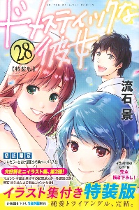 ドメスティックな彼女<特装版>（28）