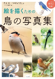 絵を描くための鳥の写真集 トレース・模写が自由!