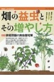 農薬に頼らず自然の力で野菜を育てる　畑の益虫とその増やし方