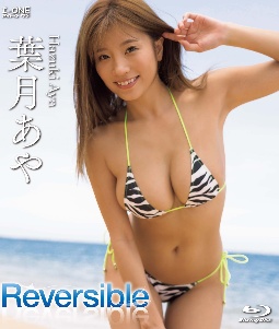 Ｒｅｖｅｒｓｉｂｌｅ