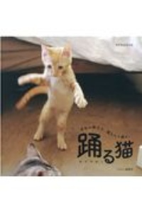 踊る猫