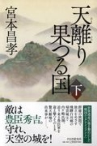 天離(あまさか)り果つる国(下)