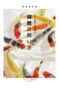 錦鯉の飼い方　池でも水槽でも楽しめる