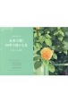 あべとしゆきポストカードブック　水彩で描く四季の静かな光　Water　color　postcard　book