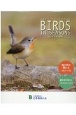 BIRDS　IN　SEASONS卓上カレンダー　12か月を彩る野鳥　2021