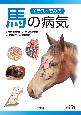 イラストでみる馬の病気