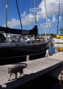 岩合光昭の世界ネコ歩き　フロリダ・キーウエスト