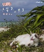 岩合光昭の世界ネコ歩き　沖縄