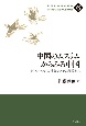 中国のムスリムからみる中国　N．ルーマンの社会システム理論から