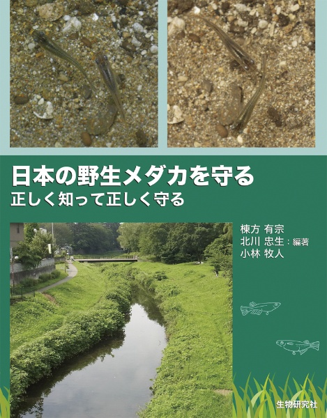 日本の野生メダカを守る　正しく知って正しく守る