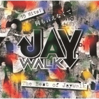 2pieces of THE JAYWALK ~ ふ・た・り じぇいうぉーく LIVE [DVD] 2pieces of THE JAYWALK ~ふ・た・り じぇいうぉーく LIVE/JAYWALK