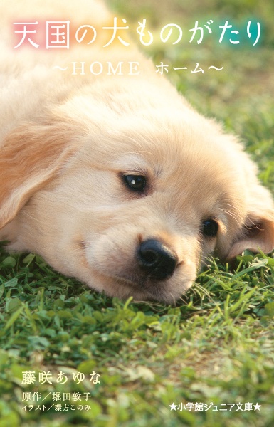 天国の犬ものがたり~HOME ホーム~