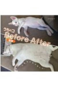 うちのコＢｅｆｏｒｅ　Ａｆｔｅｒ　猫編