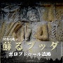 蘇る仏陀　－ボロブドゥール遺跡－　－歌のマンダラ9－(DVD付)