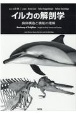 イルカの解剖学　身体構造と機能の理解
